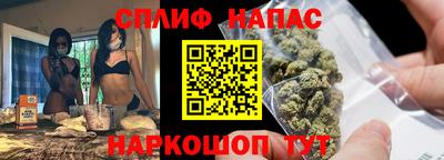 spice Гудермес
