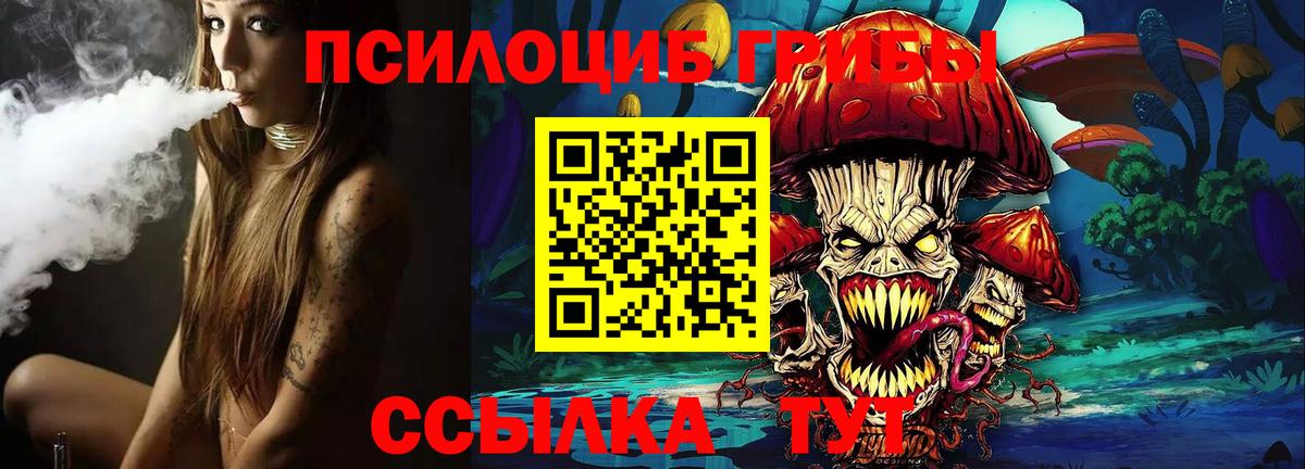 Псилоцибиновые грибы Cubensis Дюртюли