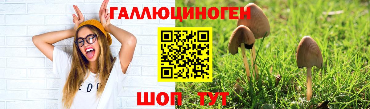 Дюртюли  Псилоцибиновые грибы Magic Shrooms  Вход с VPN  Псилоцибиновые грибы прущие грибы 