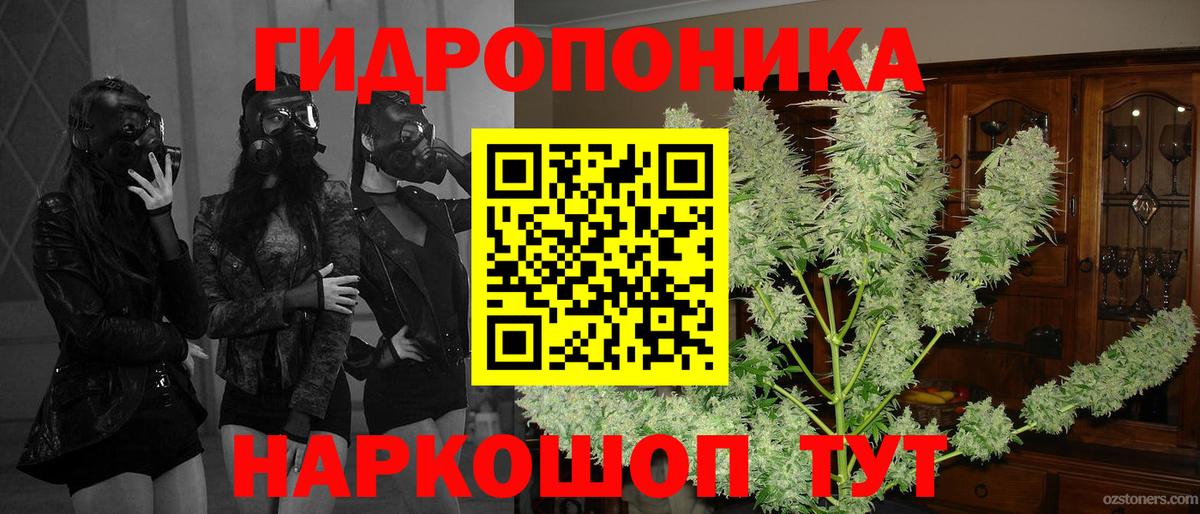Шишки марихуана планчик  Шишки марихуана SATIVA & INDICA  Дюртюли  Каннабис OG Kush  Бошки Шишки семена  Вход с VPN 